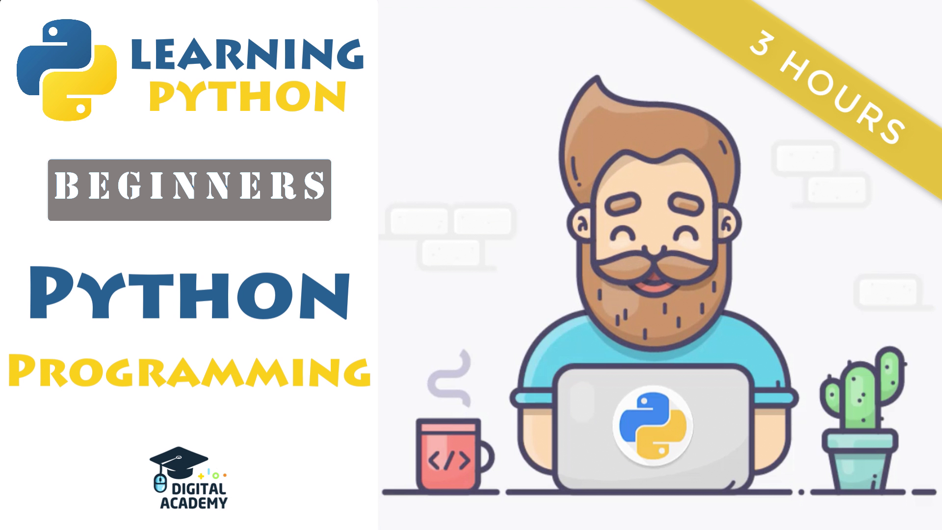 Python Programming for Beginners