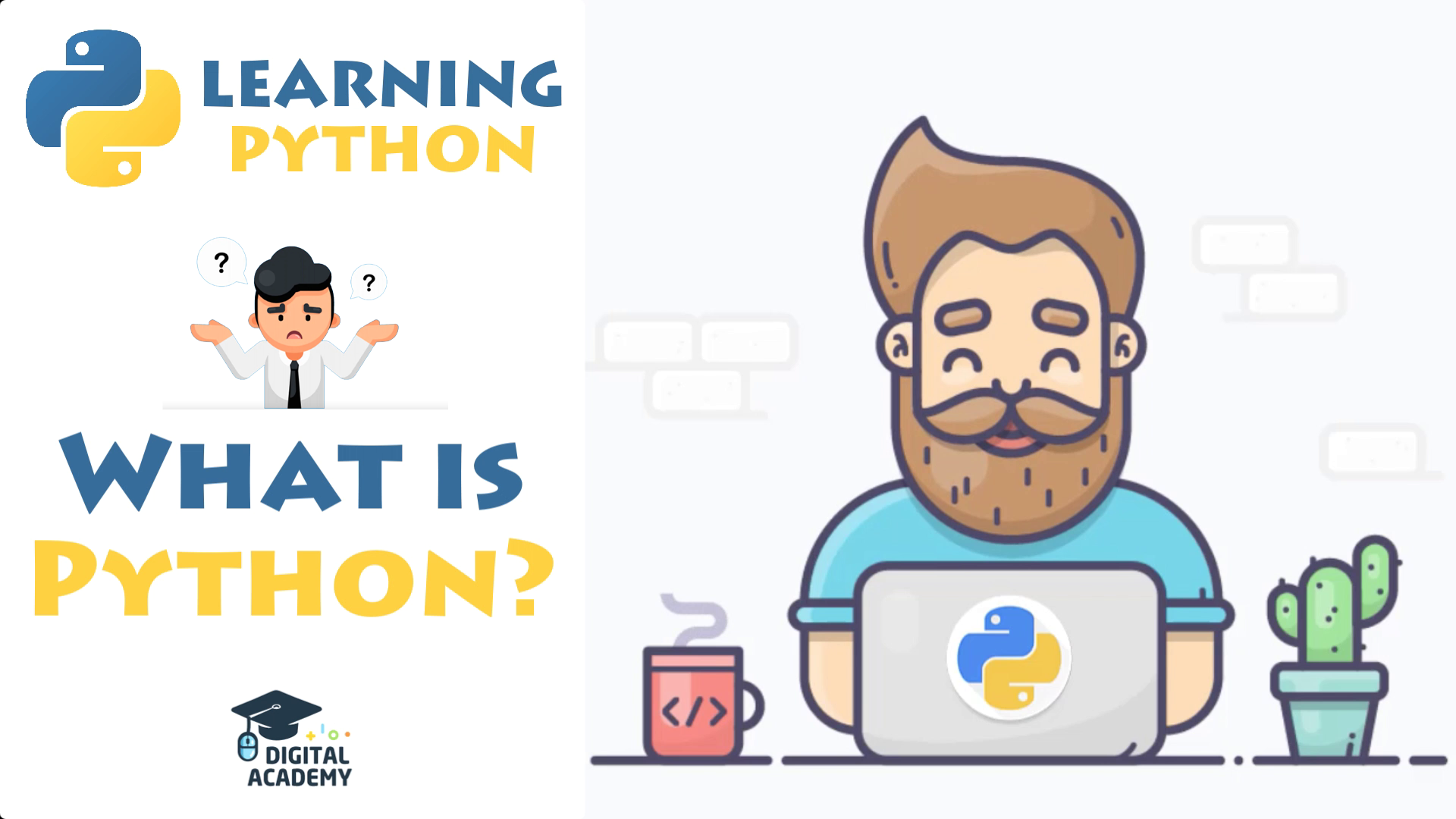 What is Python?