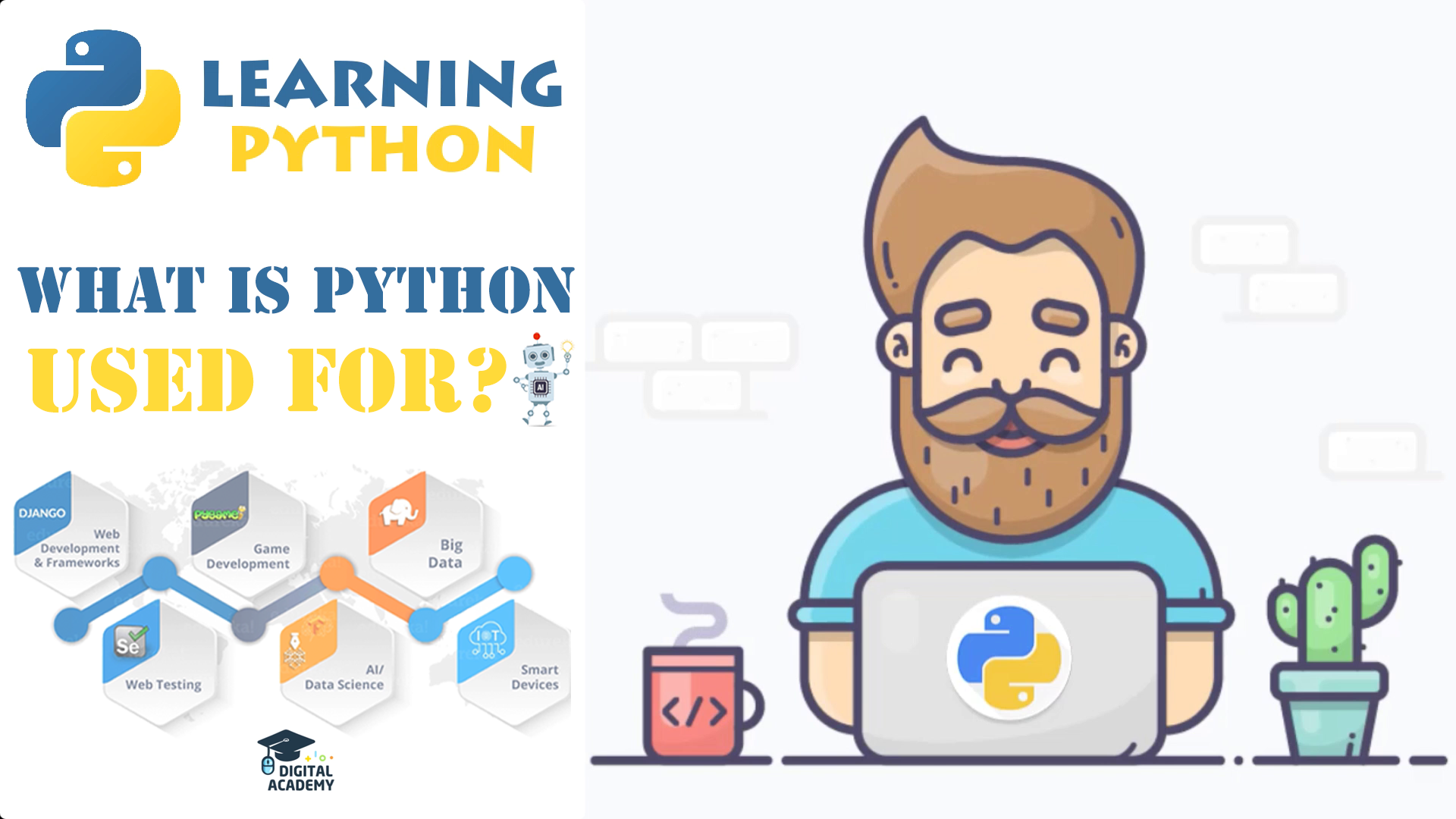 What is Python used for?