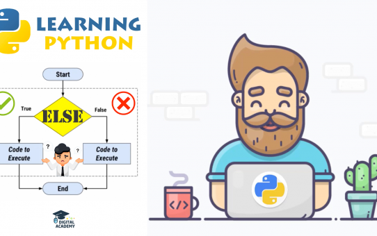 IF ELSE Statements in Python - Conditional Statements in Python