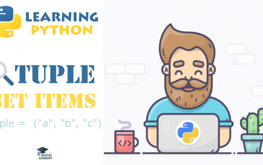 Access Items from a Tuple in Python (Indexing, Slicing)