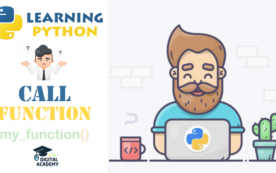 How to Call a Function in Python?