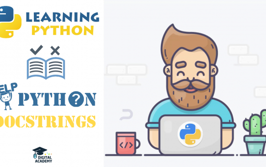 Documenting a Function in Python: DOCSTRING in Python